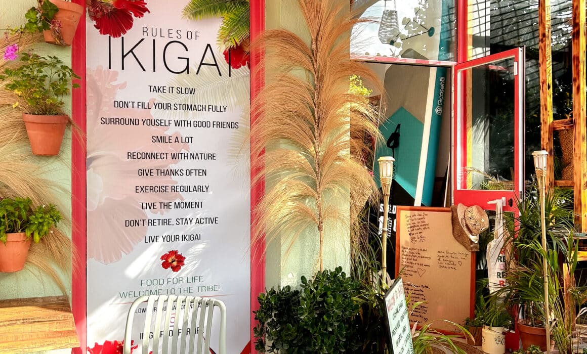 Ikigai, Estepona - Interieur spot